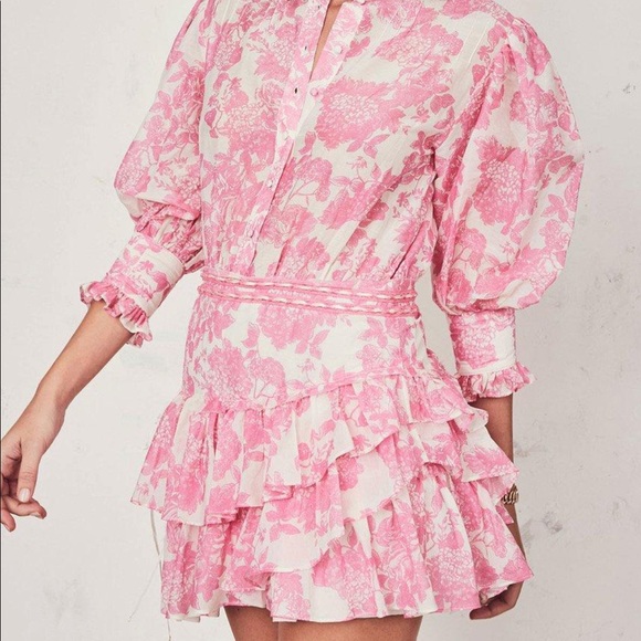 Love Shack Fancy Pink Lorelei Dress - Picture 3 of 4